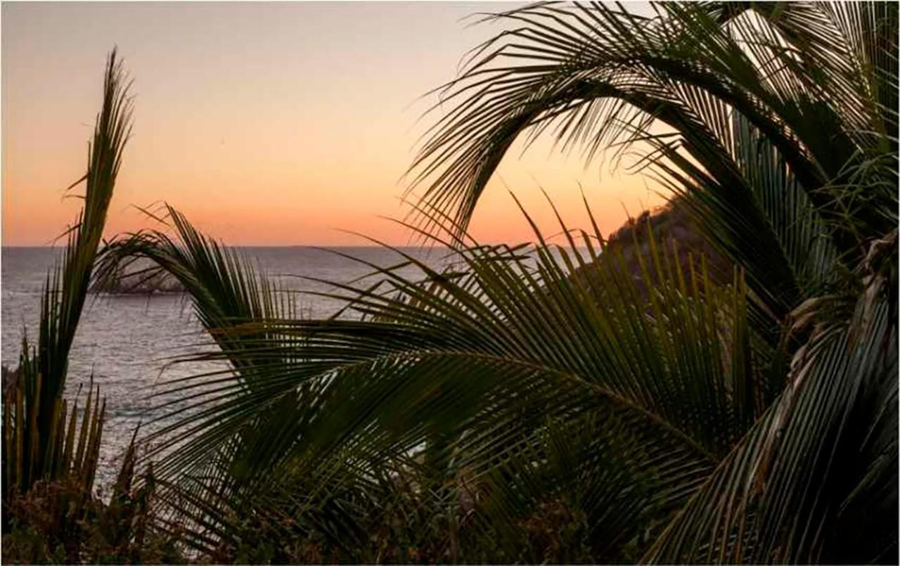 Hotel Casa Sol Zipolite Extérieur photo